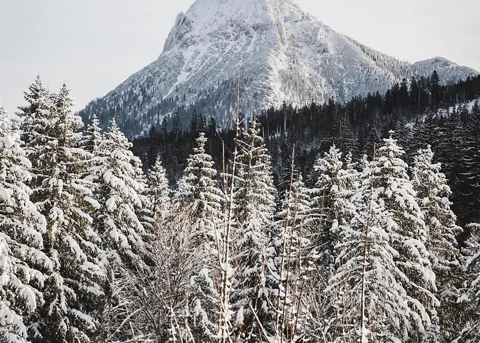 Lejlighed Waldgarten *